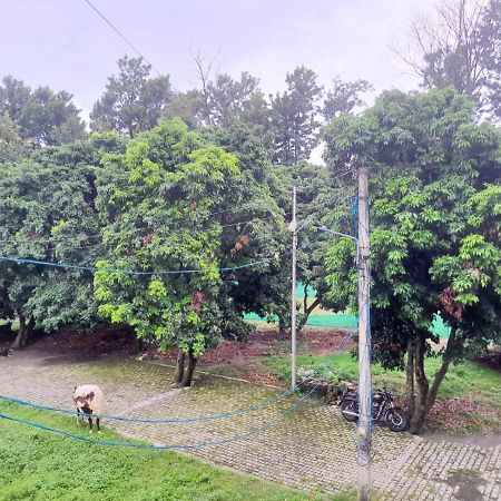 Nature View Homestay Dehradun Eksteriør bilde