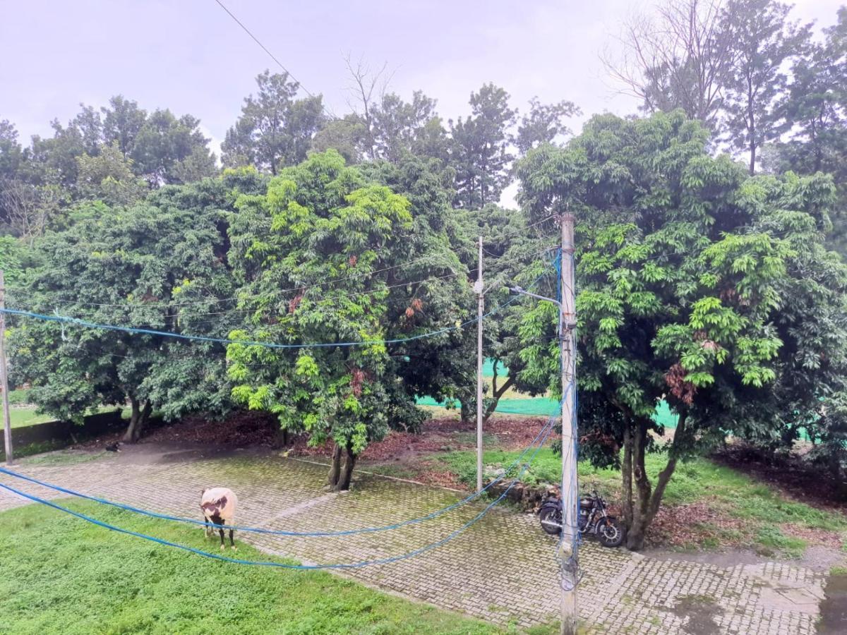 Nature View Homestay Dehradun Eksteriør bilde